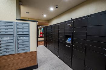 The courts at preston oaks secure package receiving with luxer one